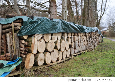 A pile of wood logs covered with plastic 125956859