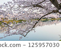 弘前櫻花節 125957030