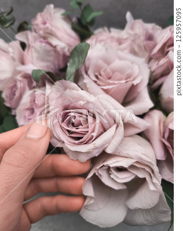 Florist arranging wedding bouquet with delicate pink roses wallpaper background copy space Florist arranging wedding bouquet with delicate pink roses wallpaper background copy space 125957095