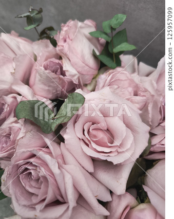 Delicate pink roses forming a bridal bouquet with eucalyptus leaves wallpaper background copy space Delicate pink roses forming a bridal bouquet with eucalyptus leaves wallpaper background copy space 125957099