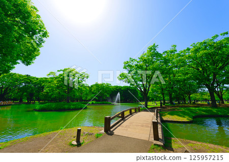 [東京] 五月黃金周期間在代代木公園邊吃午餐邊觀光 125957215