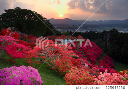 浪漫的茨城(北草山的夕陽西下,杜鵑花公園的夜景也隨之拉開帷幕。)篤間市杜鵑花公園的燈光秀 浪漫的茨城(北草山的夕陽西下,杜鵑花公園的夜景也隨之拉開帷幕。)篤間市杜鵑花公園的燈光秀 125957238