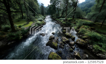 A clear stream flows through the forest 125957529