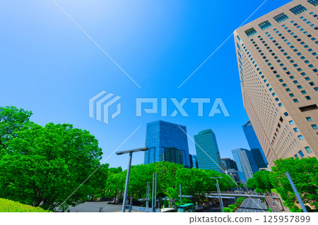 [Tokyo] Shinjuku Central Park and surrounding cityscape in May 125957899