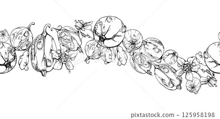 Gooseberry Currant garden berries, flowers in water dew drops hand drawn in vector ink. Seamless isolated wave banner garland. Home preserves, stationery, food store decor, cafe menu, recipe book 125958198