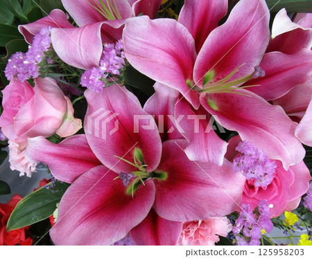 粉紅色卡薩布蘭卡花束 125958203