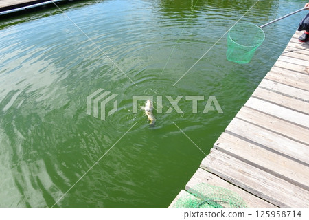Fishing pond ☆mar_lapin Fishing pond ☆mar_lapin 125958714