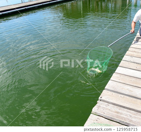 Fishing pond ☆mar_lapin Fishing pond ☆mar_lapin 125958715