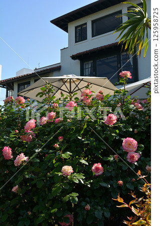 可以看到橫濱·港口的山公園 可以看到橫濱·港口的山公園 125958725