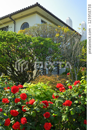 可以看到橫濱·港口的山公園 可以看到橫濱·港口的山公園 125958738