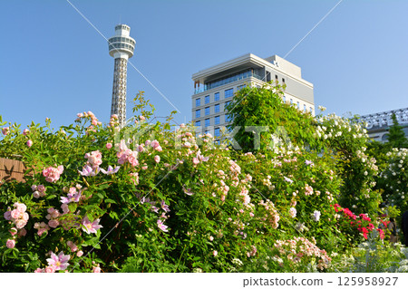 橫濱·山下公園 125958927