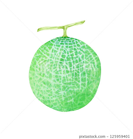 瓜果水彩插圖 瓜果水彩插圖 125959401