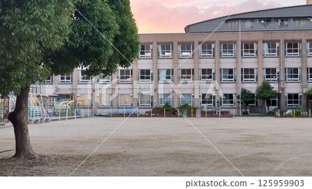 School grounds 125959903