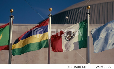 Flags of the world waving at the United Nations headquarters in New York Flags of the world waving at the United Nations headquarters in New York 125960099