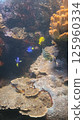 Coral-covered sea fish 125960334