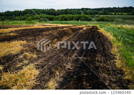 Wide farmland with burned stubble and natural vegetation on field edge Wide farmland with burned stubble and natural vegetation on field edge 125960340