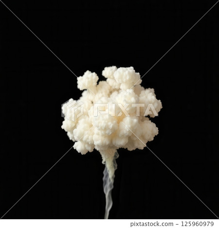 Dramatic fluffy white smoke explosion burst with trailing wisps on dark black background Dramatic fluffy white smoke explosion burst with trailing wisps on dark black background 125960979