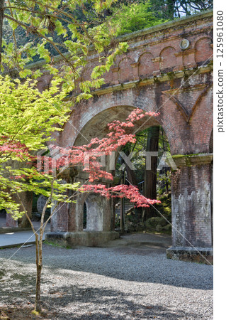 南禪寺的綠葉和紅葉 125961080