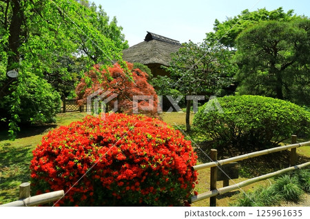 Ibaraki Prefecture Mito Kairakuen Kobuntei (view from Rakujuro) Ibaraki Prefecture Mito Kairakuen Kobuntei (view from Rakujuro) 125961635