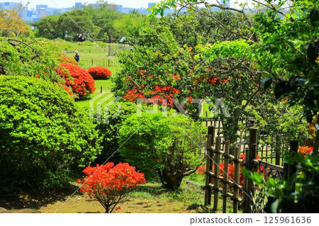 Ibaraki Prefecture Mito Kairakuen Kobuntei (view from Rakujuro) Ibaraki Prefecture Mito Kairakuen Kobuntei (view from Rakujuro) 125961636