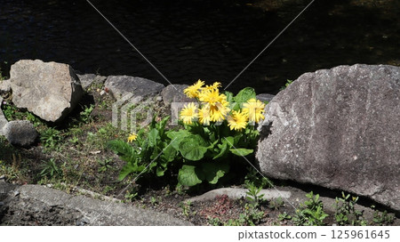 (Kyoto) 05102013 (Kyoto) 05102013 125961645