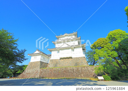 神奈川縣小田原市小田原城風景 125961884