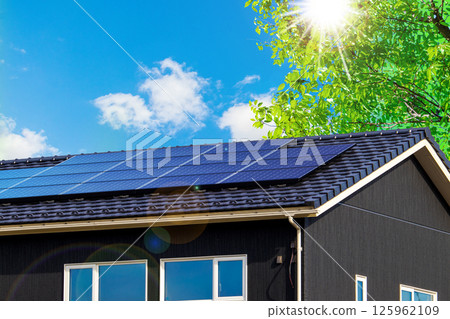 生態形象‗擁有新鮮綠植和太陽能發電系統以及天空的黑色生態住宅 生態形象‗擁有新鮮綠植和太陽能發電系統以及天空的黑色生態住宅 125962109