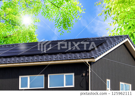 Eco image‗Black eco house with fresh greenery and solar power generation system and sky Eco image‗Black eco house with fresh greenery and solar power generation system and sky 125962111