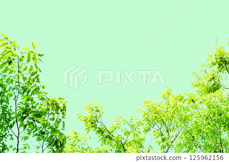 Fresh green background 125962156