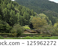 Ichijodani Asakura Clan Ruins, Reconstructed Townscape (Fukui) 125962272