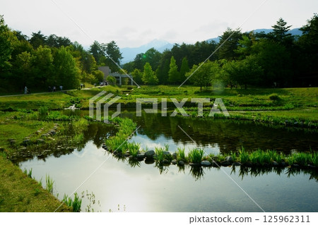 與池塘的風景 125962311