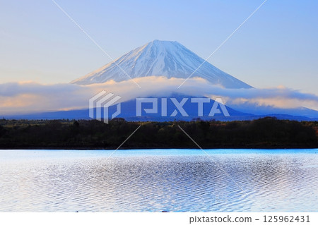 Mount Fuji and Mount Omuroyama from Lake Shojiko / Fujikawaguchiko Town, Yamanashi Prefecture Mount Fuji and Mount Omuroyama from Lake Shojiko / Fujikawaguchiko Town, Yamanashi Prefecture 125962431
