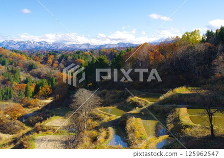 十日町市和蒲生梯田的秋天 125962547