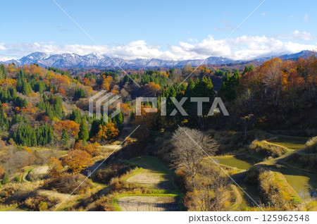 Autumn in Tokamachi City and Gamou rice terraces 125962548