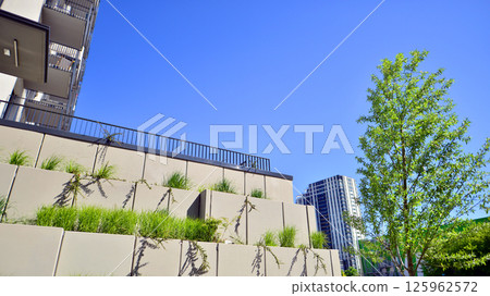 Eco apartment building saving energy and fresh air. Modern block of flats in green area, residential apartment and luxury house complex.  125962572