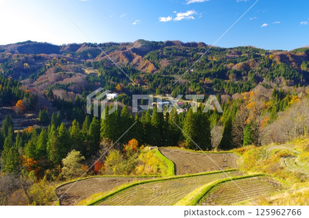 Autumn in Matsunoyama and Tensuishima rice terraces in Tokamachi city 125962766
