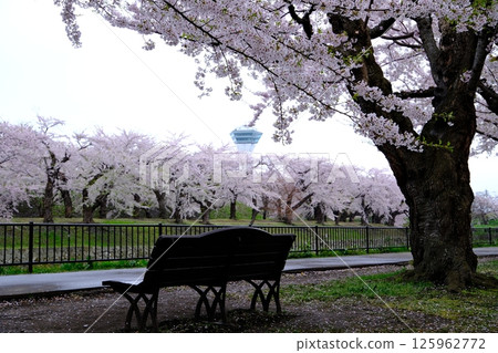 Goryokaku Tower and bench 125962772