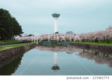Sakura and Goryokaku Tower Sakura and Goryokaku Tower 125962773