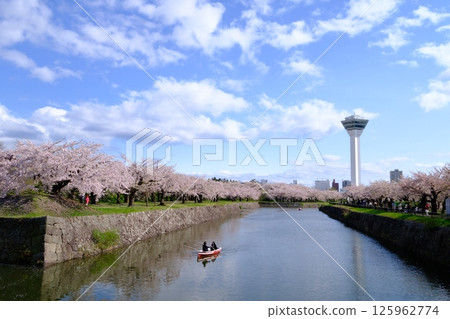 櫻花和五棱郭塔 櫻花和五棱郭塔 125962774