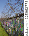 絲帶綁在柵欄上 125962778