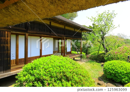 Mito Kairakuen Garden, Ibaraki Prefecture Mito Kairakuen Garden, Ibaraki Prefecture 125963099