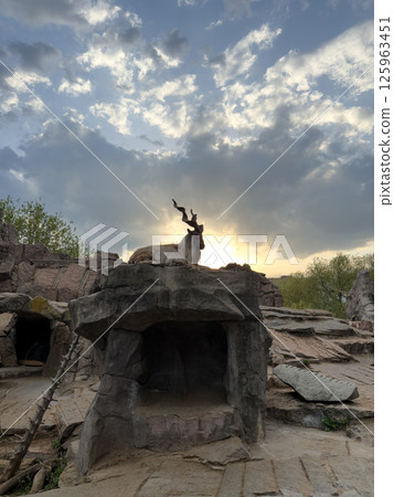 Wild goat with long twisted horns resting on rocky platform inside zoo enclosure during dramatic sunset, symbolizing strength and wilderness under cloudy evening sky with soft glowing light Wild goat with long twisted horns resting on rocky platform inside zoo enclosure during dramatic sunset, symbolizing strength and wilderness under cloudy evening sky with soft glowing light 125963451