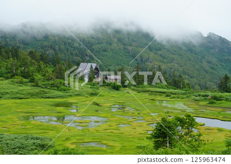 沼澤地和山間小屋 沼澤地和山間小屋 125963474