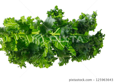 Fresh green Kale leaf salad vegetable on white background. Fresh green Kale leaf salad vegetable on white background. 125963643