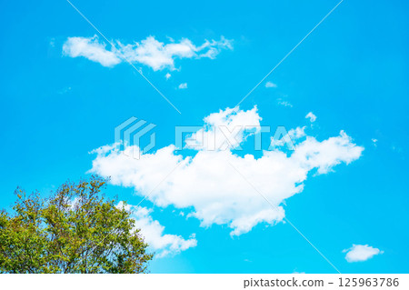 藍天，白雲和樹林 125963786