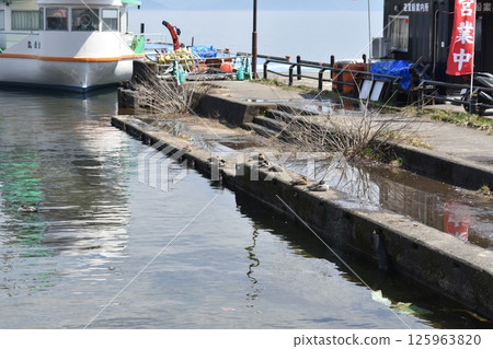 豬苗代湖：遊覽船和鴨子 125963820