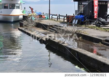 豬苗代湖：遊覽船和鴨子 125963821