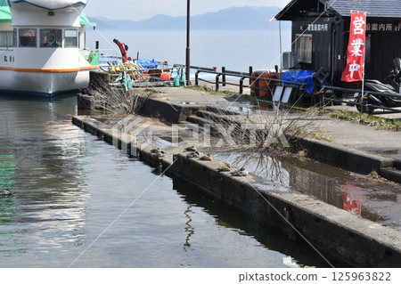 豬苗代湖:遊覽船和鴨子 豬苗代湖:遊覽船和鴨子 125963822