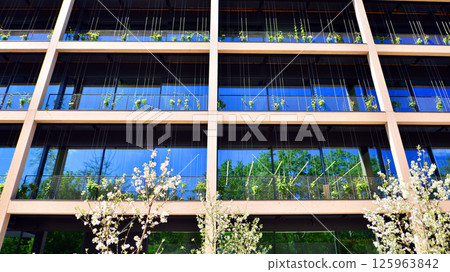 Modern city eco office building with tree. Detail shot of modern architecture facade,business concepts. Environment. Modern building and trees, double exposure. 125963842