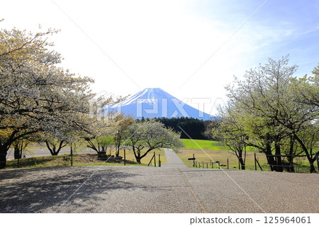 Mt. Fuji from the Asagiri Plateau Mt. Fuji Observation Deck 125964061